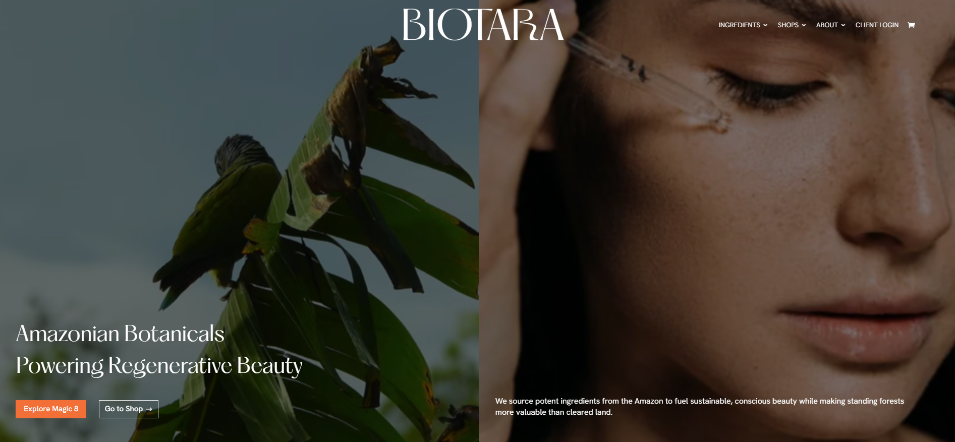 Logo BIOTARA