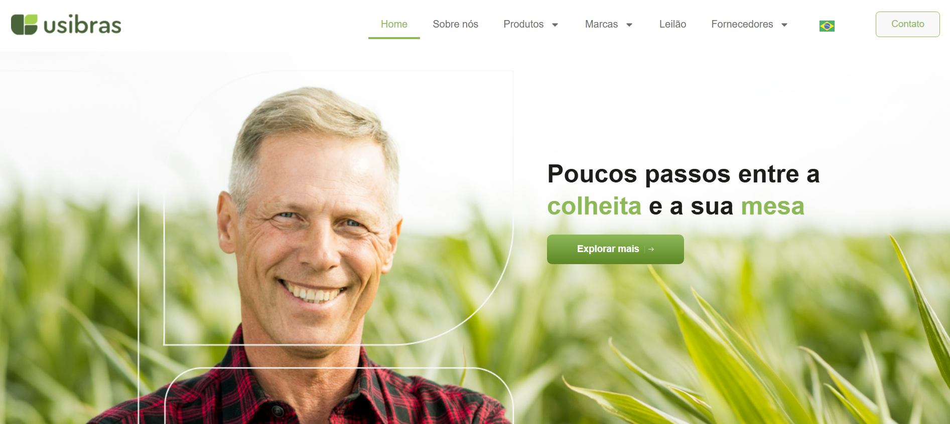 Logo USIBRAS