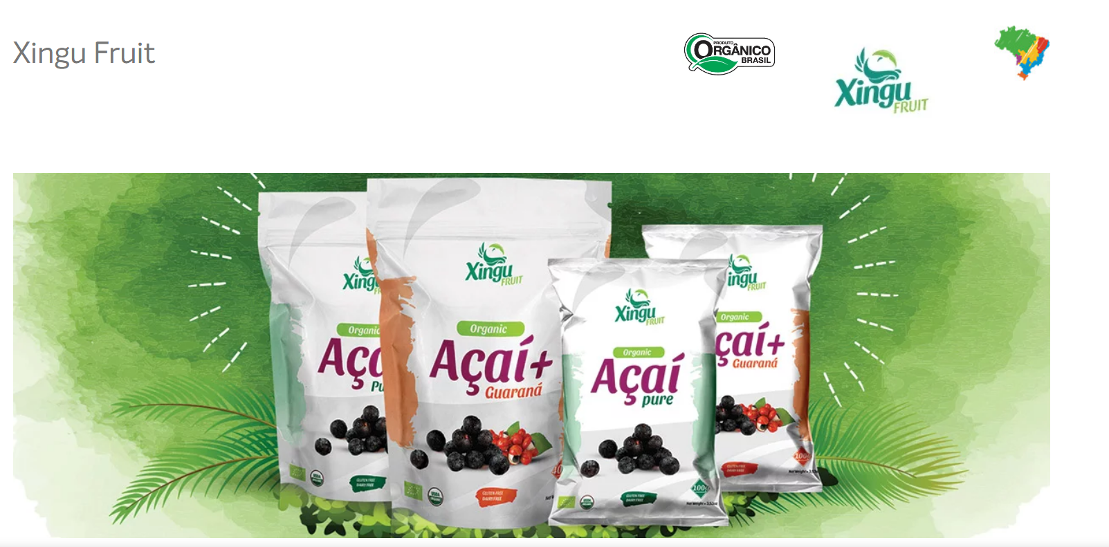 Logo XINGU FRUIT